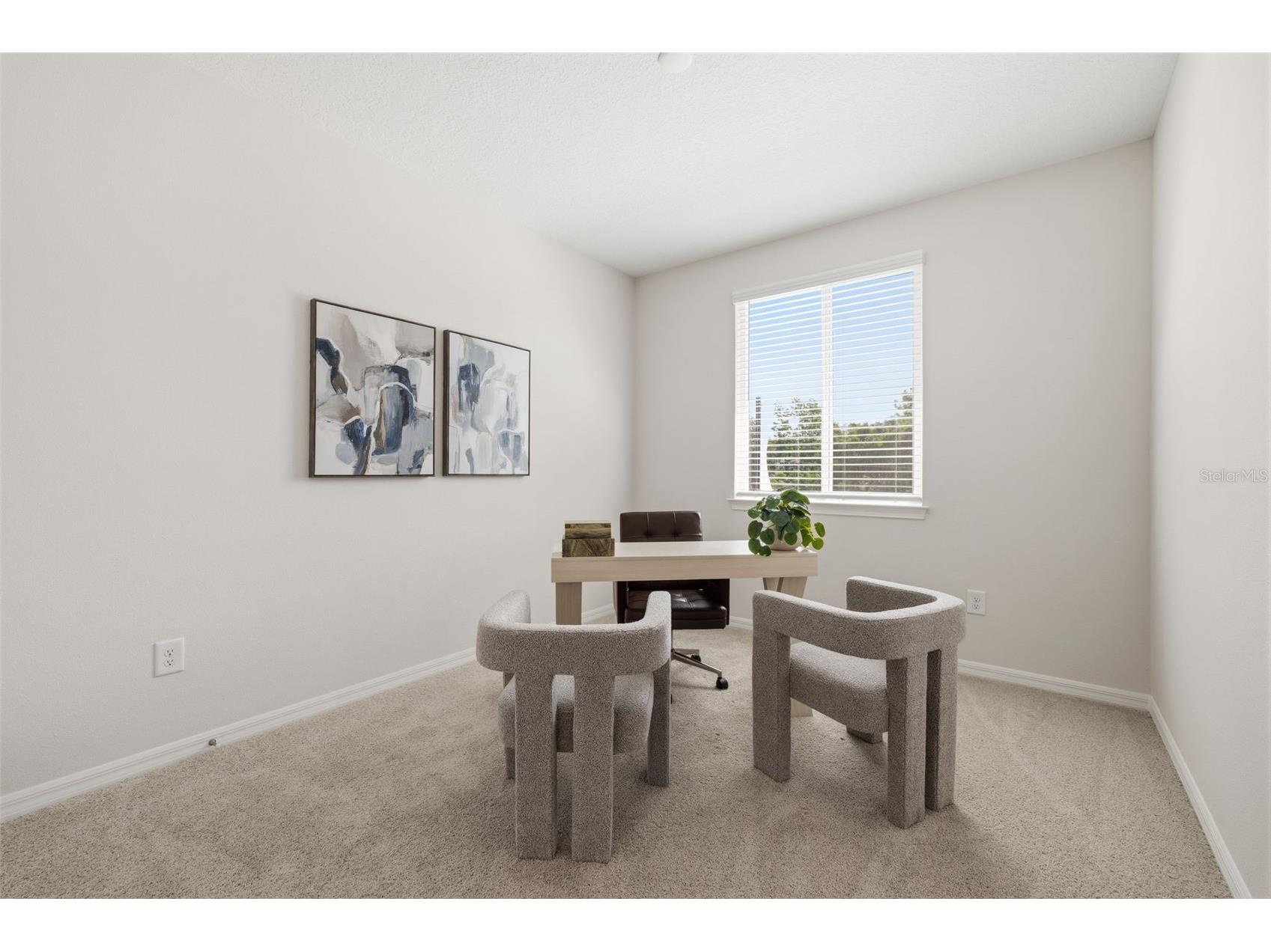 5819 Angela Leyla Place Riverview FL 33578 TB8508340 image14
