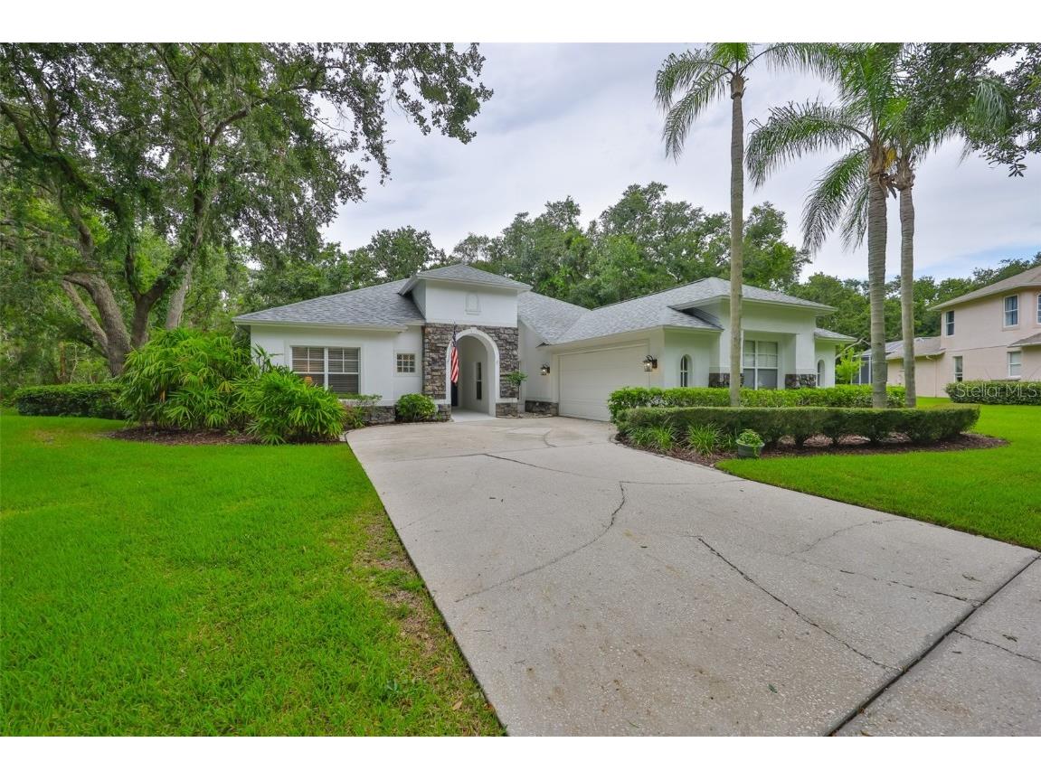 5819 Bent Grass Drive Valrico FL 33596 TB8410550 image1