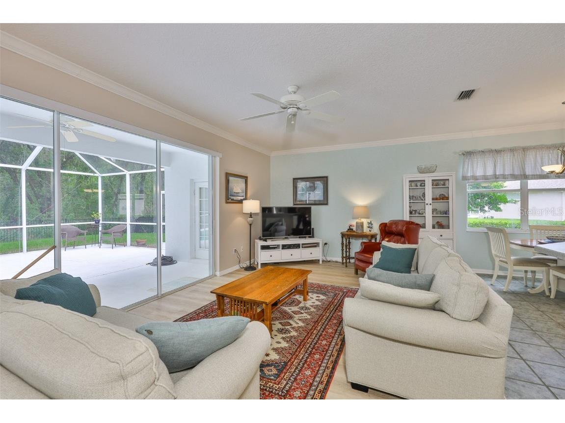 5819 Bent Grass Drive Valrico FL 33596 TB8410550 image11