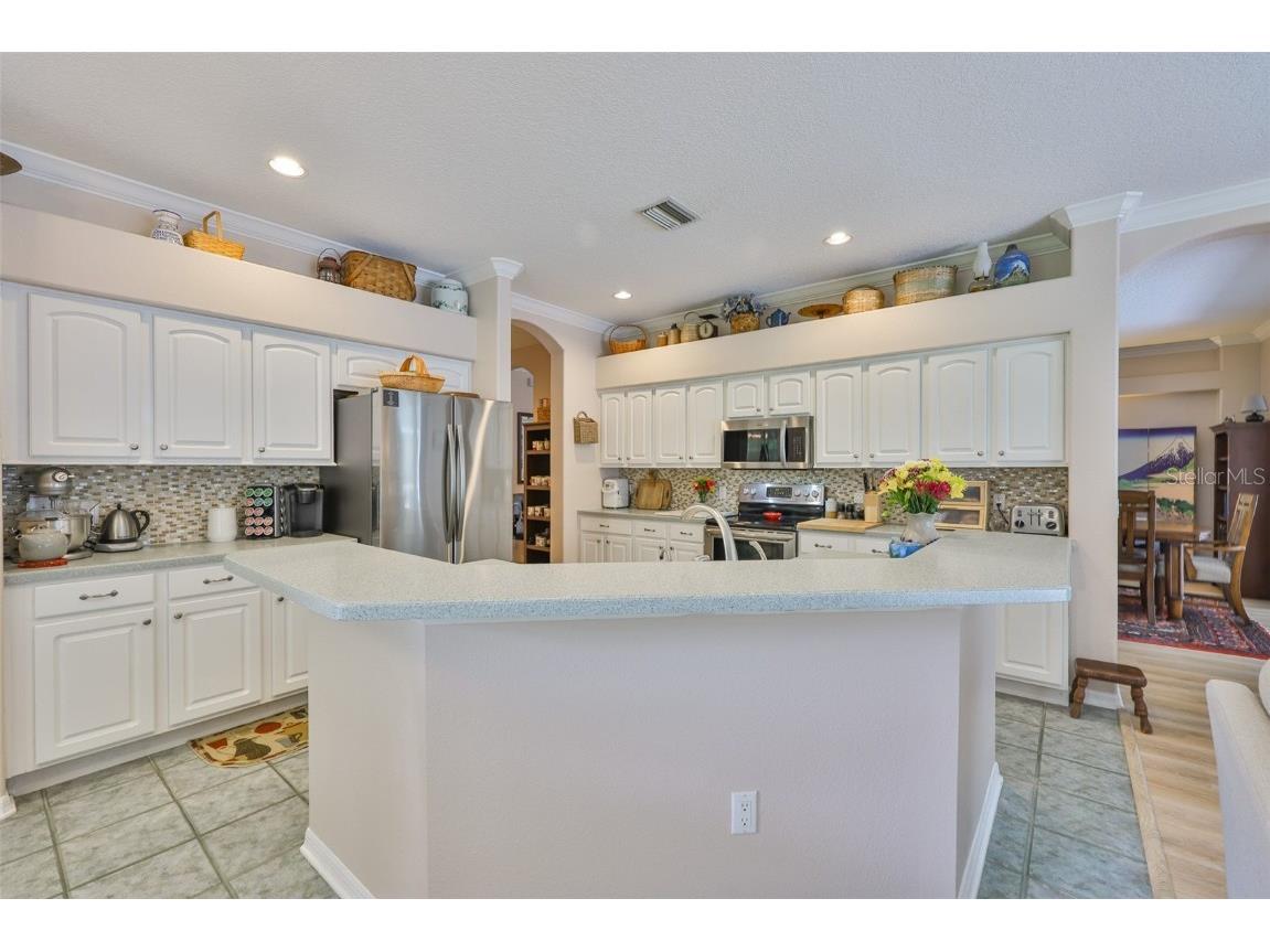 5819 Bent Grass Drive Valrico FL 33596 TB8410550 image15