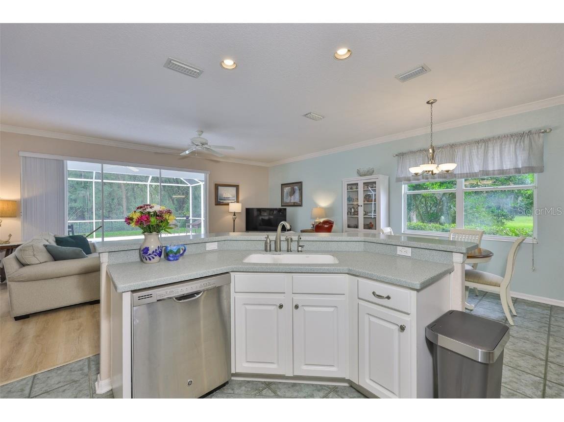 5819 Bent Grass Drive Valrico FL 33596 TB8410550 image18