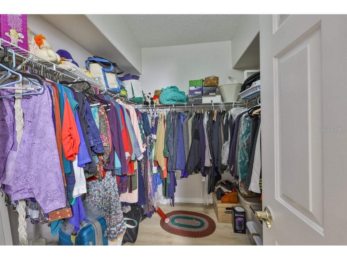 5819 Bent Grass Drive Valrico FL 33596 TB8410550 image24