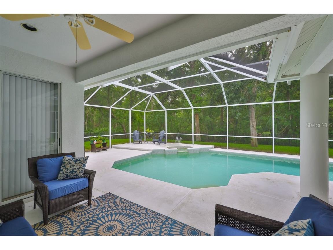 5819 Bent Grass Drive Valrico FL 33596 TB8410550 image38