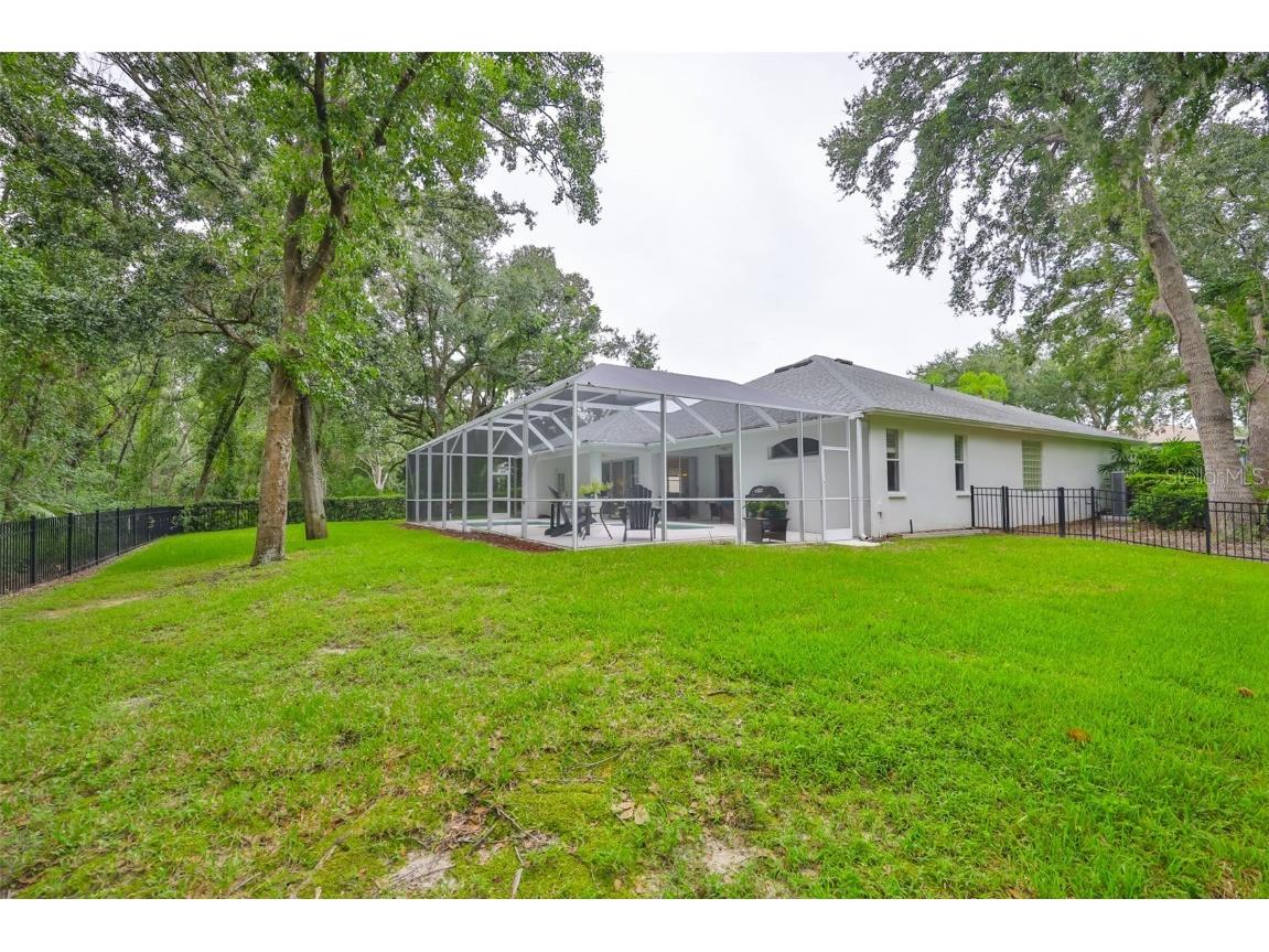 5819 Bent Grass Drive Valrico FL 33596 TB8410550 image44