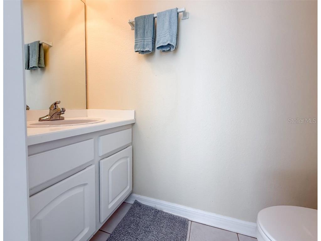 5819 Bent Grass Drive Valrico FL 33596 TB8410550 image45