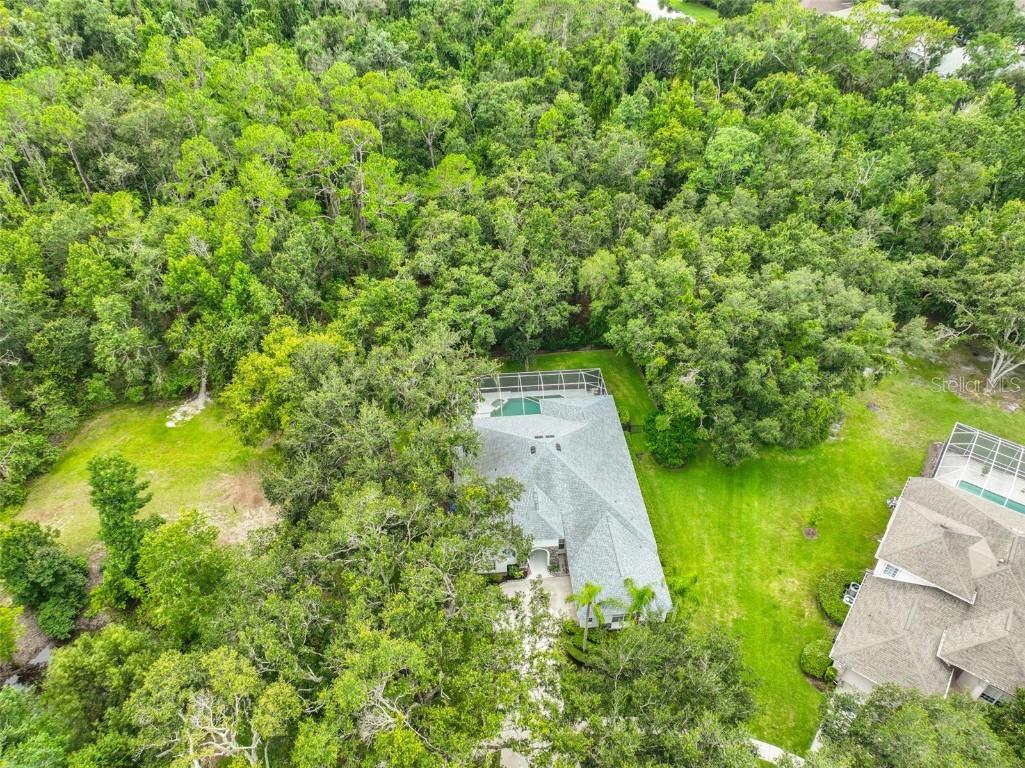 5819 Bent Grass Drive Valrico FL 33596 TB8410550 image46