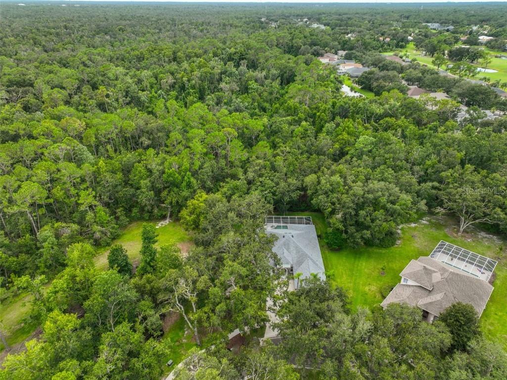 5819 Bent Grass Drive Valrico FL 33596 TB8410550 image47