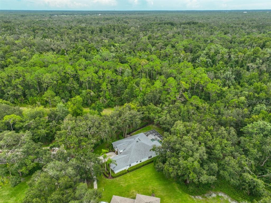 5819 Bent Grass Drive Valrico FL 33596 TB8410550 image48