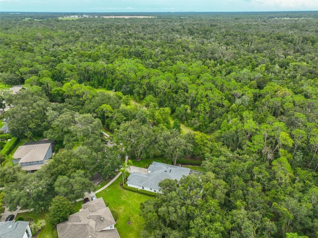 5819 Bent Grass Drive Valrico FL 33596 TB8410550 image49