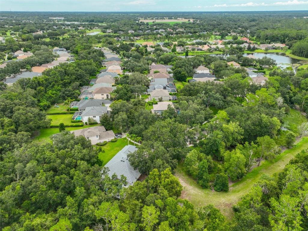 5819 Bent Grass Drive Valrico FL 33596 TB8410550 image50