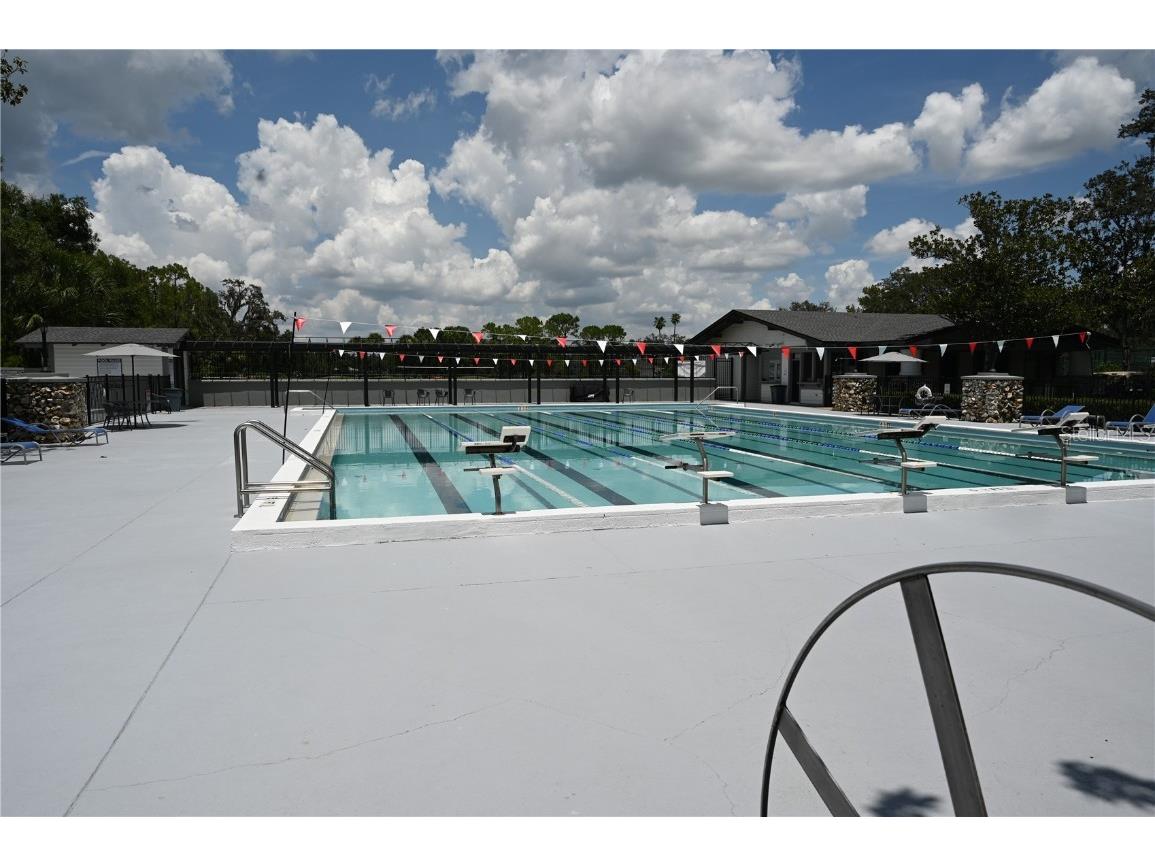 5819 Bent Grass Drive Valrico FL 33596 TB8410550 image56