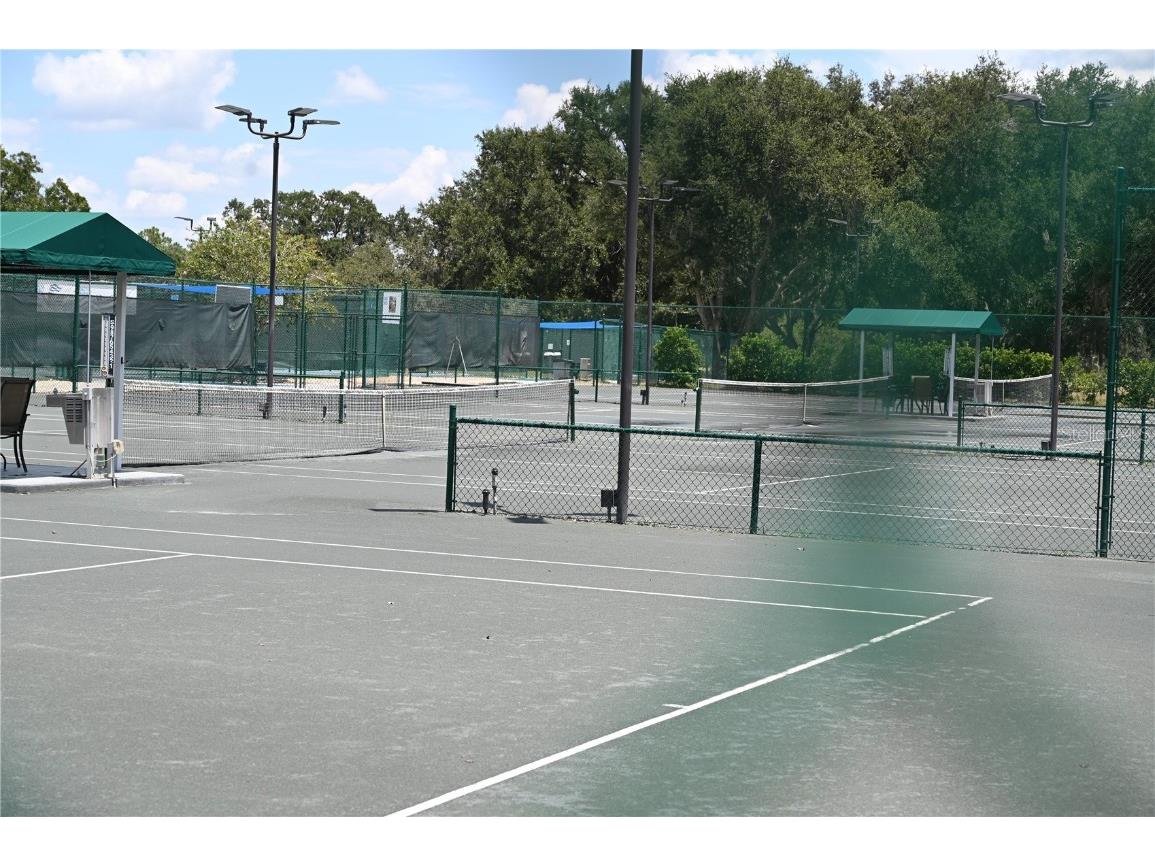 5819 Bent Grass Drive Valrico FL 33596 TB8410550 image58