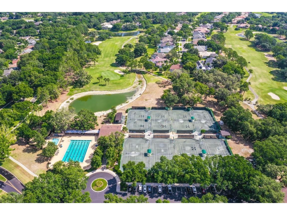 5819 Bent Grass Drive Valrico FL 33596 TB8410550 image59