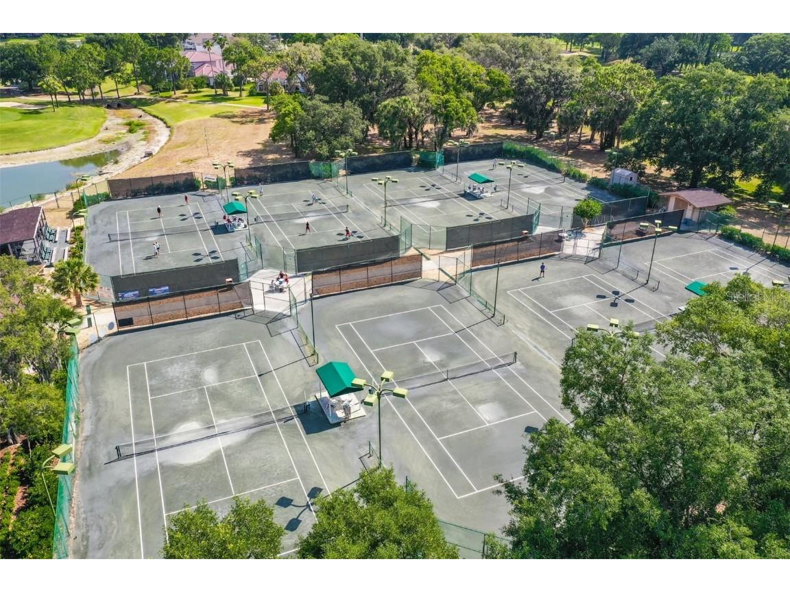 5819 Bent Grass Drive Valrico FL 33596 TB8410550 image60