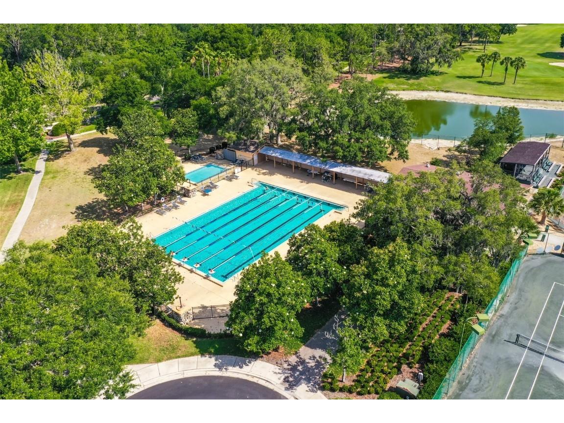 5819 Bent Grass Drive Valrico FL 33596 TB8410550 image61