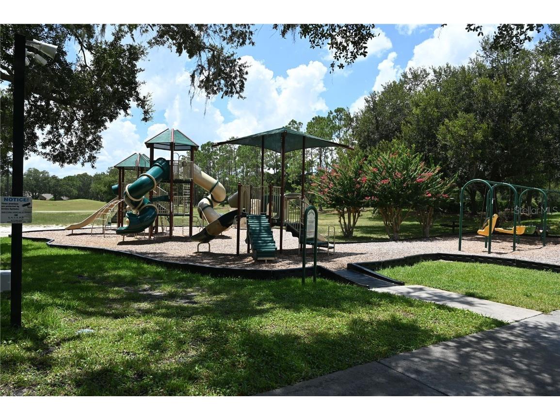 5819 Bent Grass Drive Valrico FL 33596 TB8410550 image62