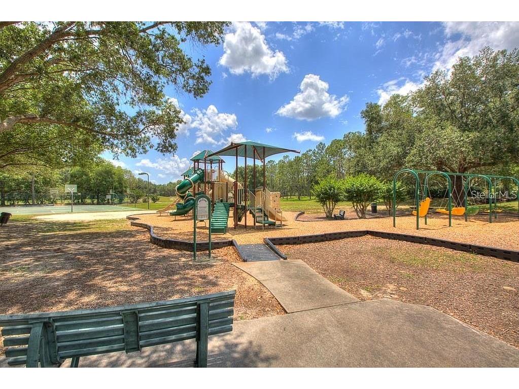 5819 Bent Grass Drive Valrico FL 33596 TB8410550 image63