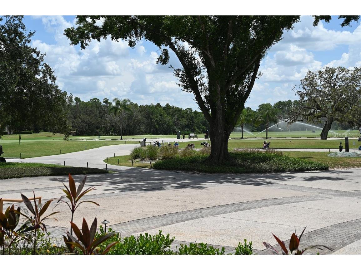 5819 Bent Grass Drive Valrico FL 33596 TB8410550 image66