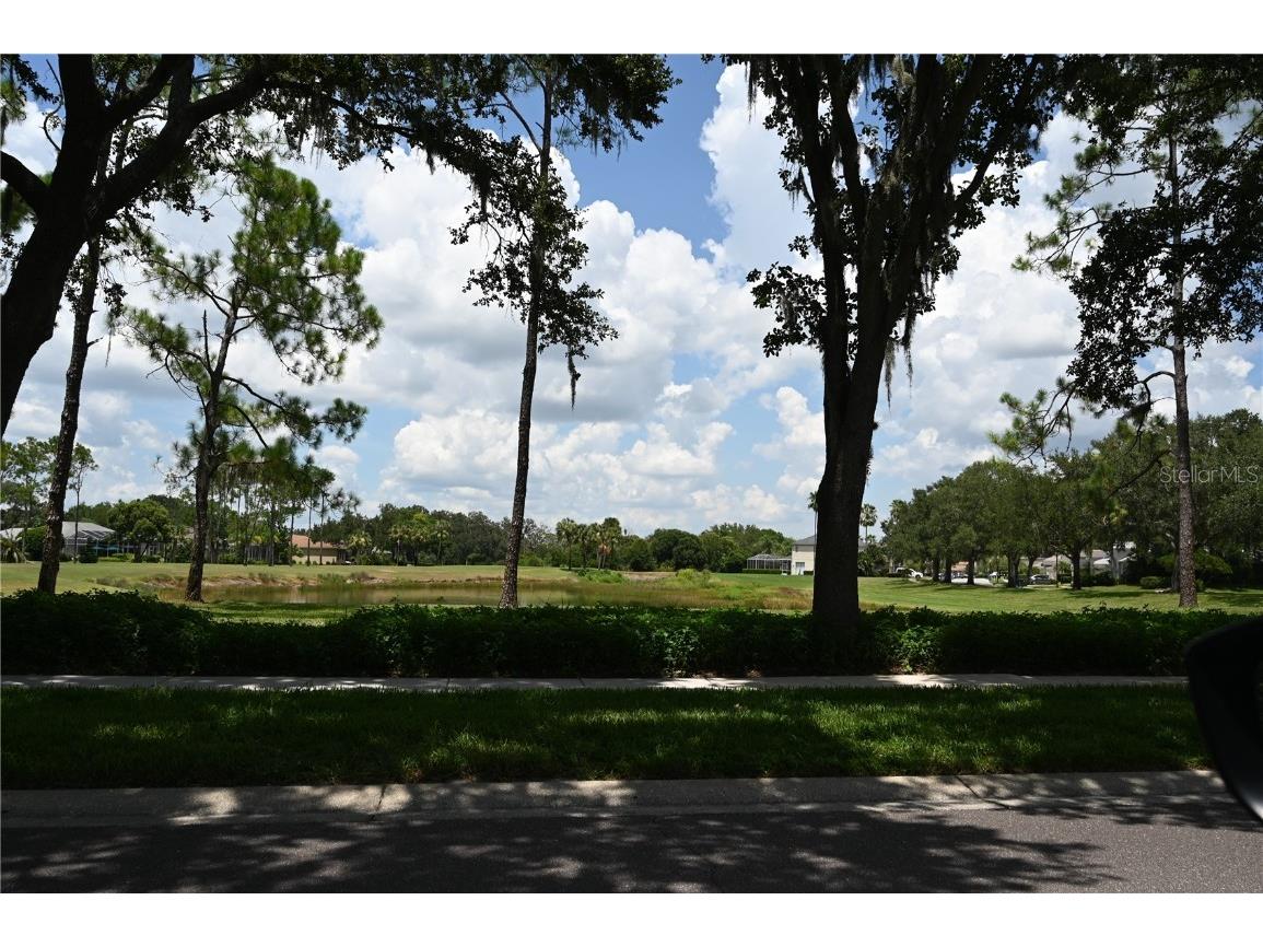 5819 Bent Grass Drive Valrico FL 33596 TB8410550 image67