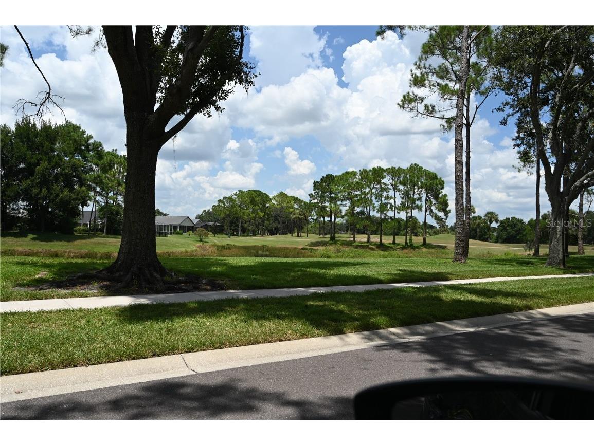 5819 Bent Grass Drive Valrico FL 33596 TB8410550 image68