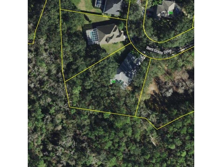 5819 Bent Grass Drive Valrico FL 33596 TB8410550 image70