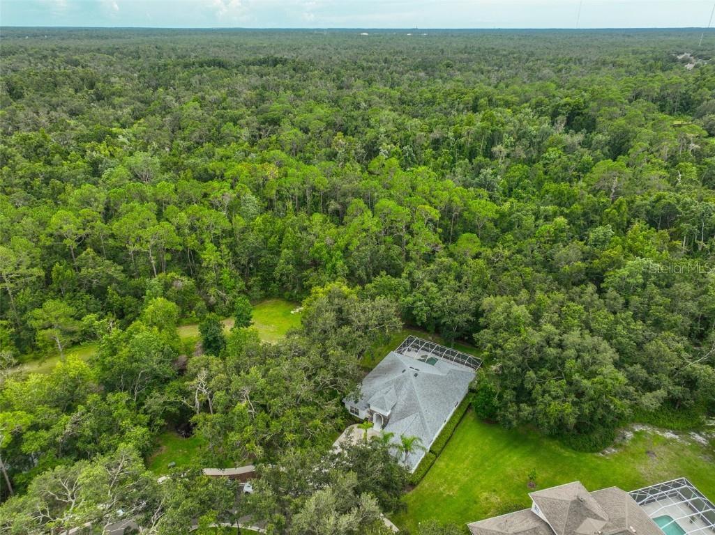 5819 Bent Grass Drive Valrico FL 33596 TB8410550 image9