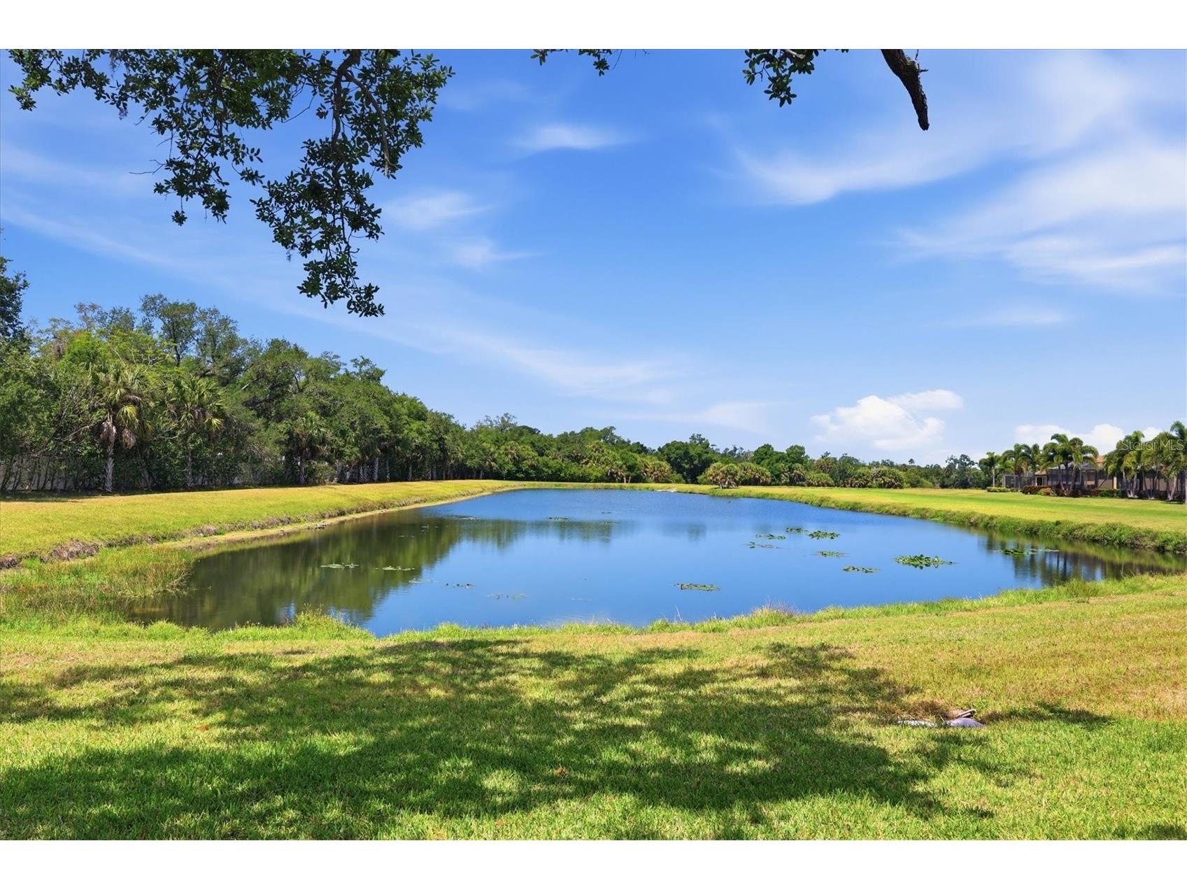 5819 Cavano Drive Sarasota FL 34231 A4691752 image43