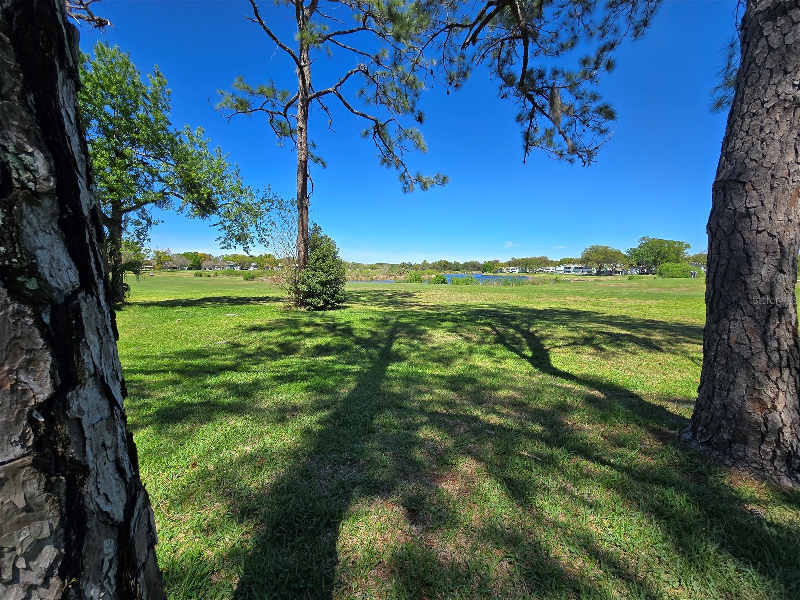 582 Fairways Circle #A Ocala FL 34472 OM721571 image15