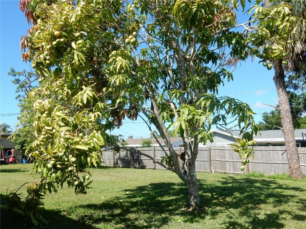 582 Reading Street NW Port Charlotte FL 33952 C7508587 image21