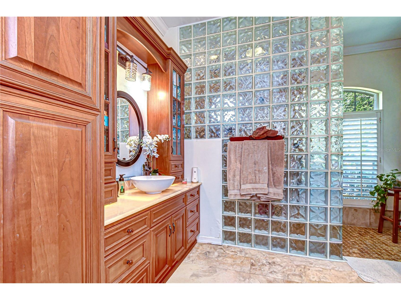 5820 Audubon Manor Boulevard Lithia FL 33547 TB8500389 image19