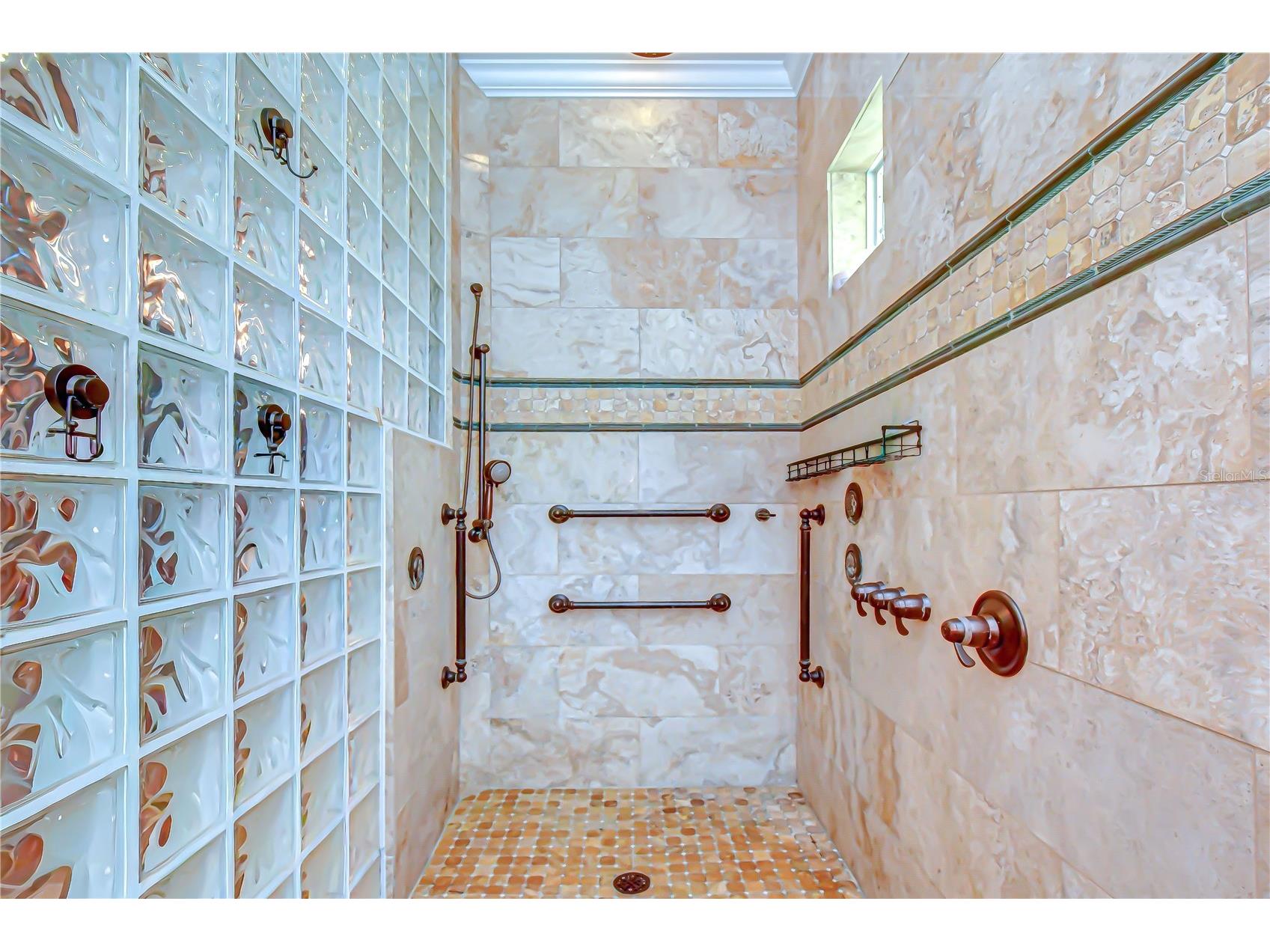 5820 Audubon Manor Boulevard Lithia FL 33547 TB8500389 image20