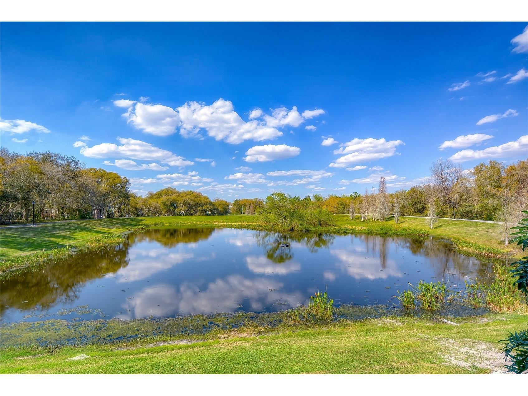 5820 Audubon Manor Boulevard Lithia FL 33547 TB8500389 image43