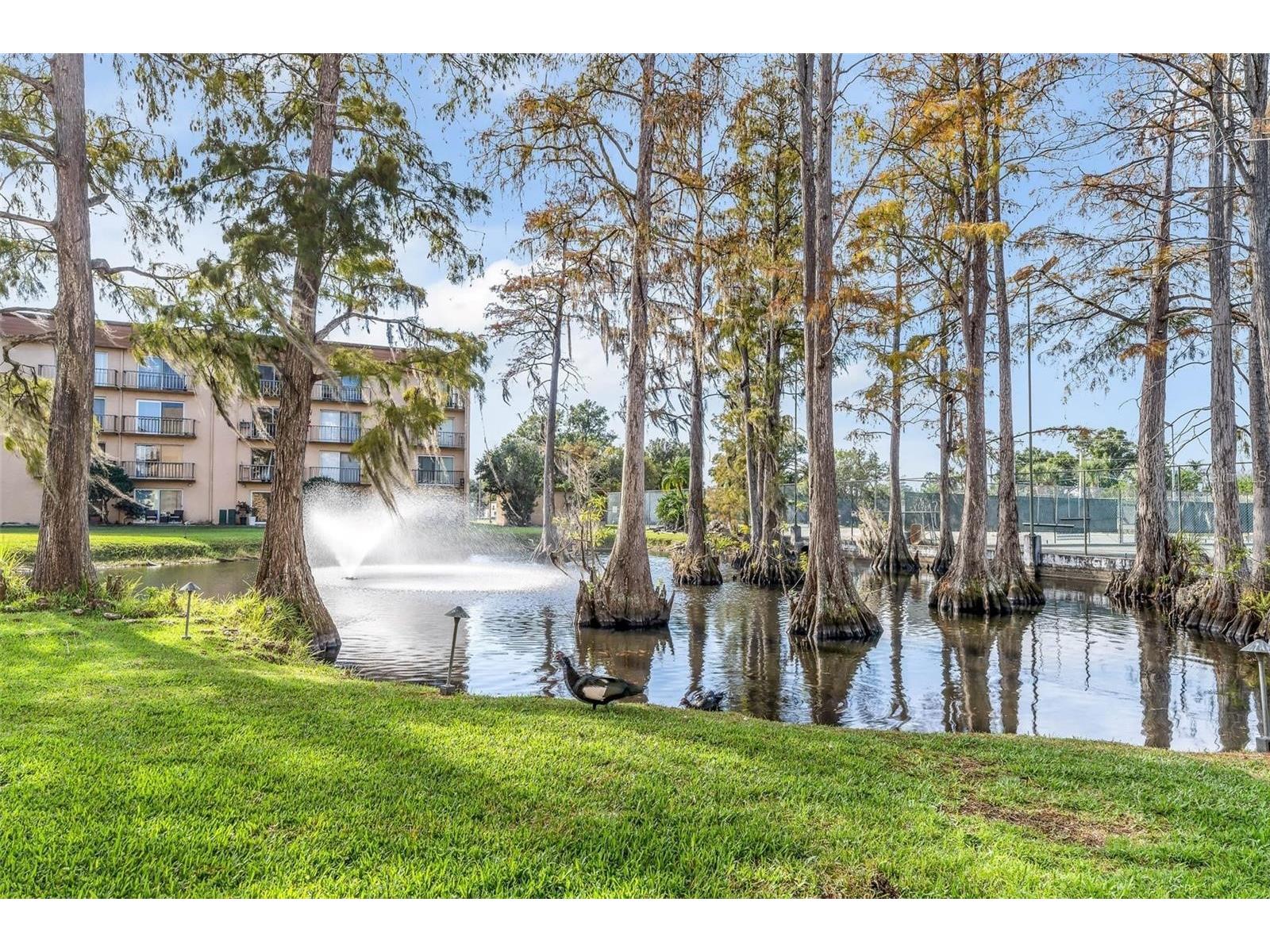 5820 N Church Avenue #105 Tampa FL 33614 TB8507790 image17