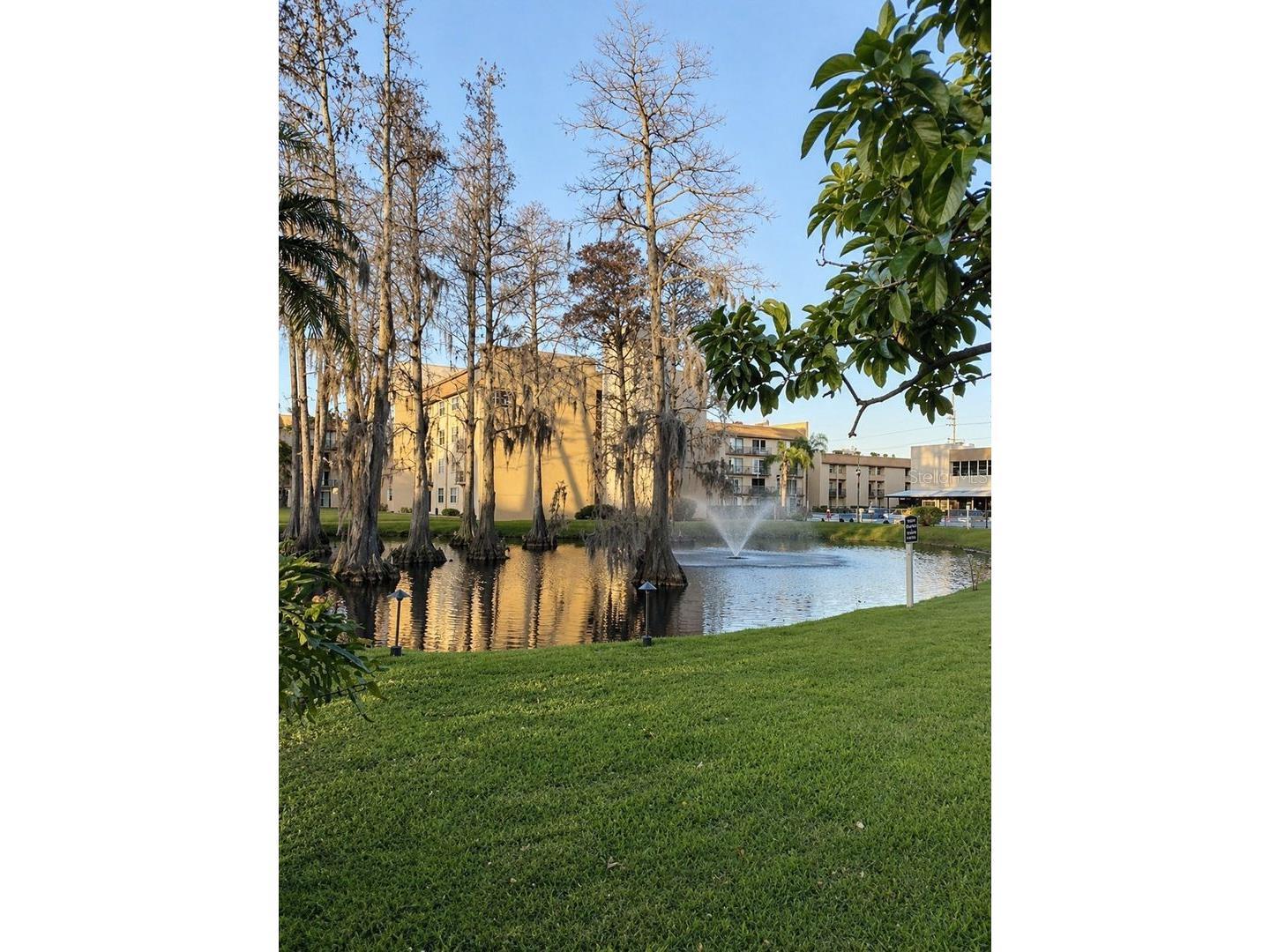 5820 N Church Avenue #112 Tampa FL 33614 TB8513405 image21