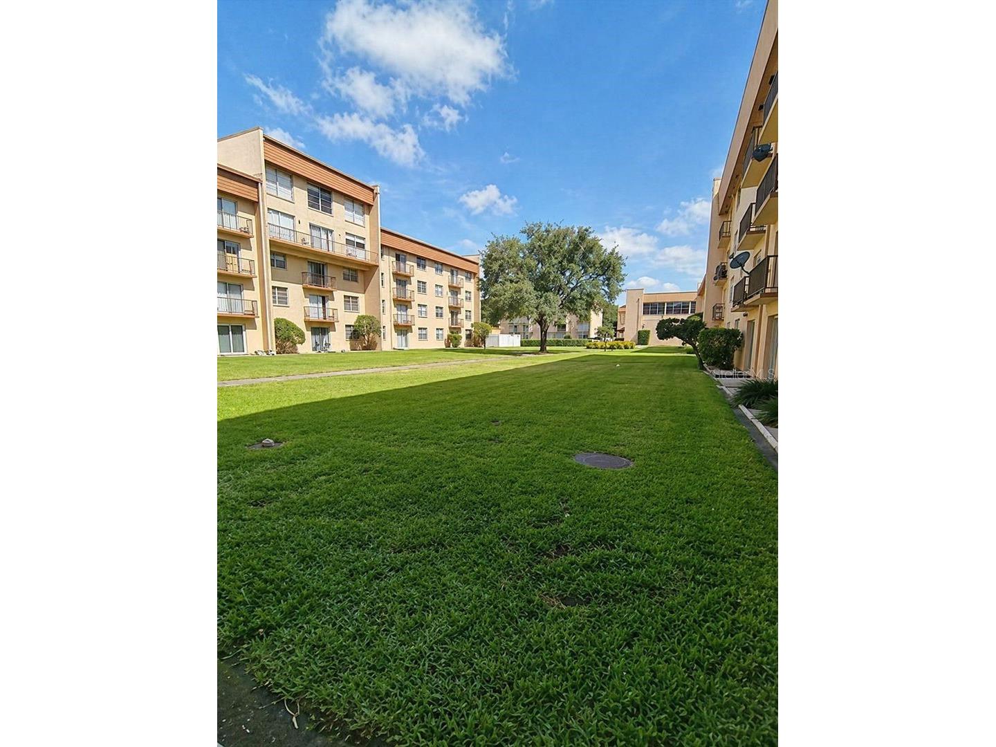 5820 N Church Avenue #112 Tampa FL 33614 TB8513405 image22