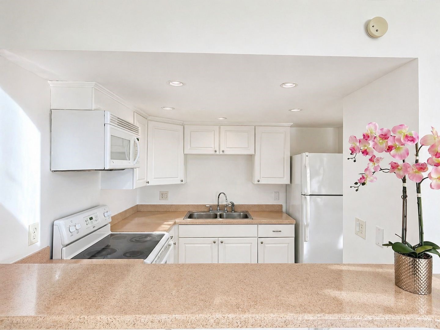 5820 N Church Avenue #112 Tampa FL 33614 TB8513405 image3