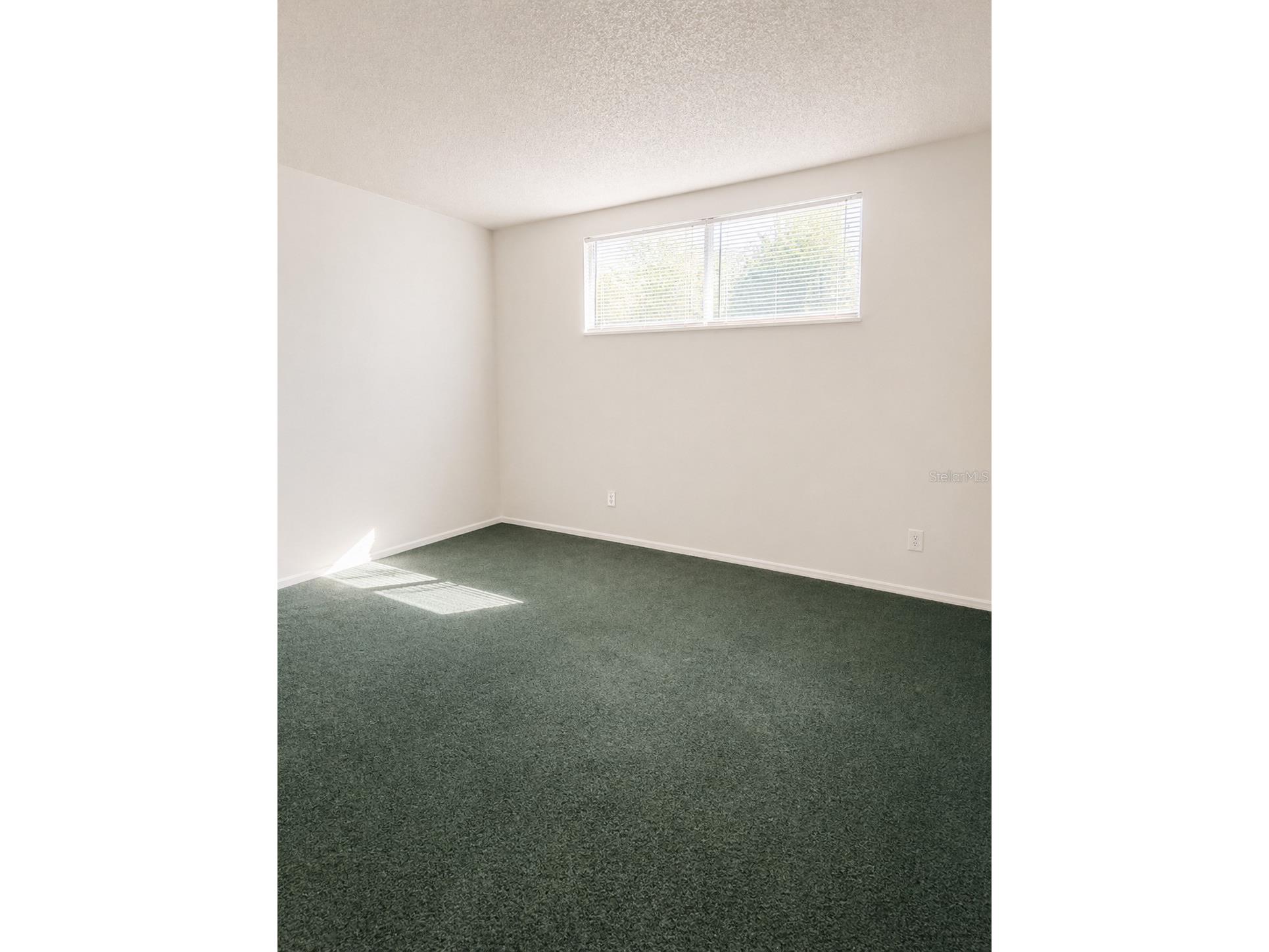 5820 N Church Avenue #129 Tampa FL 33614 TB8509235 image12