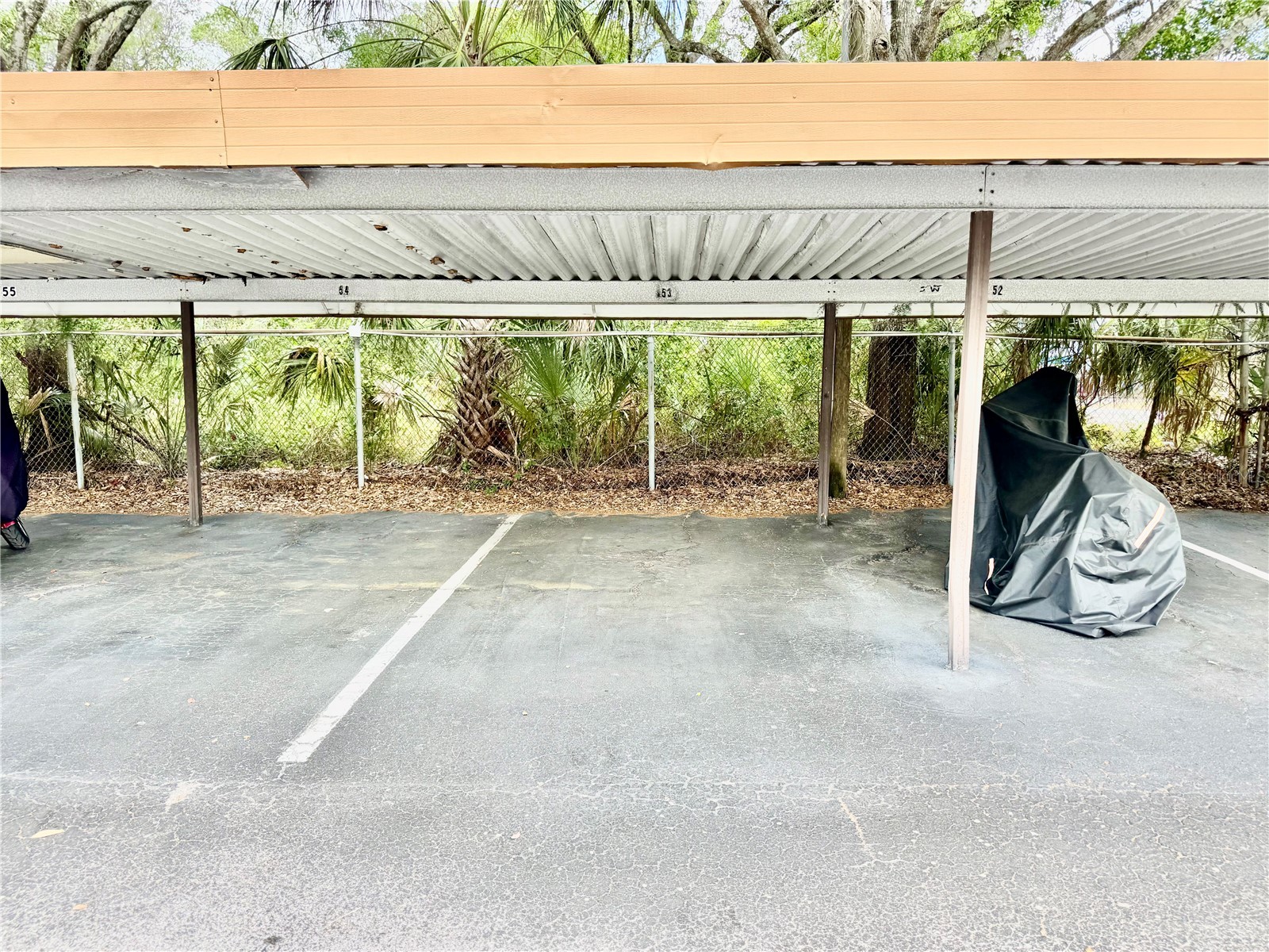 5820 N Church Avenue #239 Tampa FL 33614 TB8492851 image55