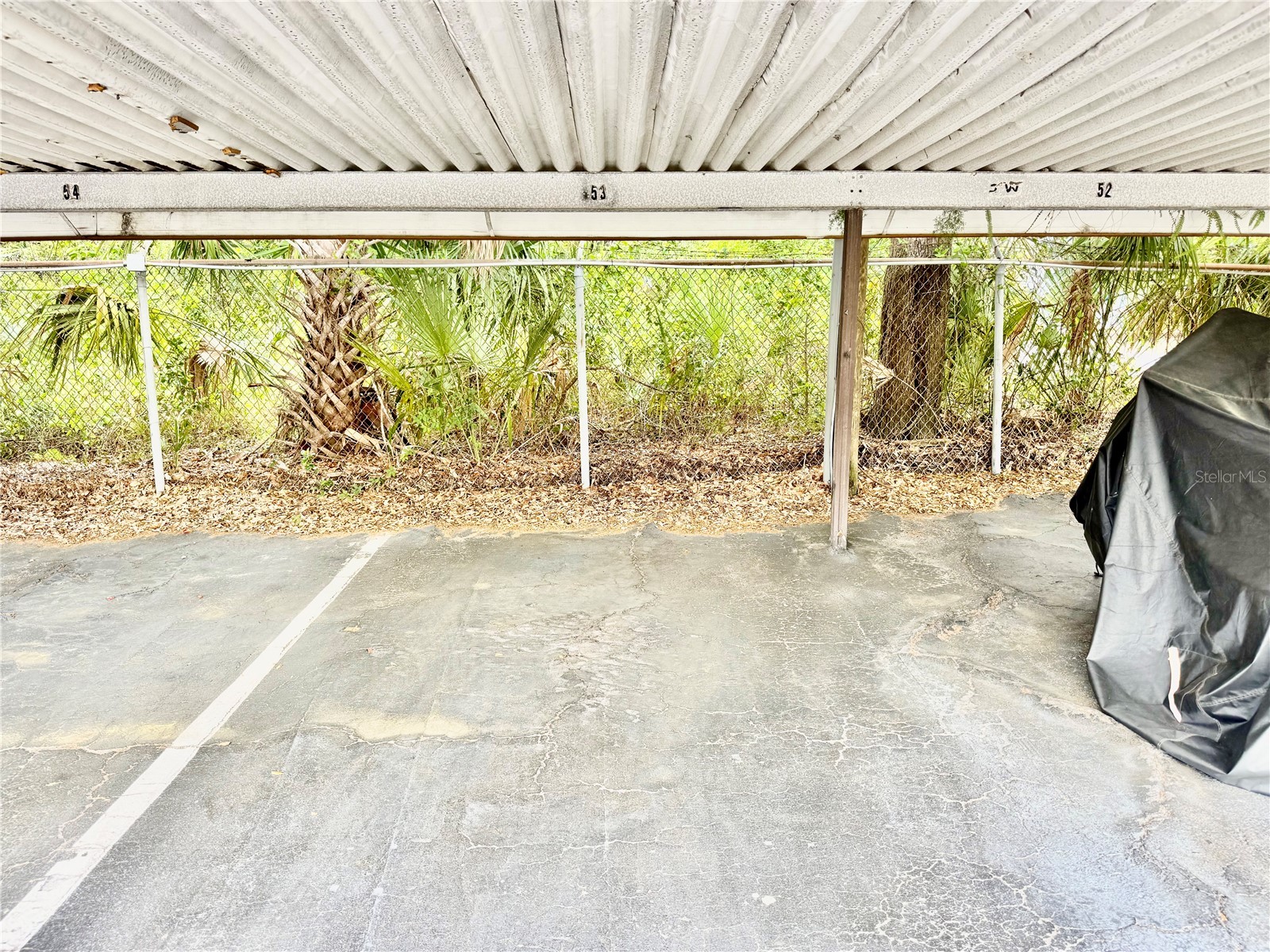 5820 N Church Avenue #239 Tampa FL 33614 TB8492851 image56