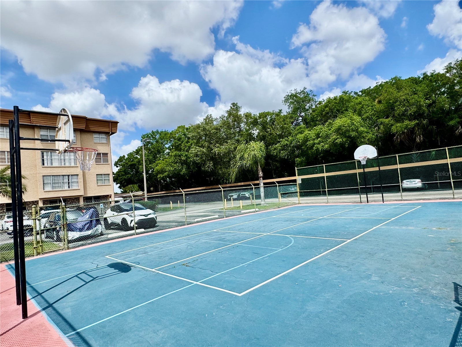 5820 N Church Avenue #239 Tampa FL 33614 TB8492851 image57