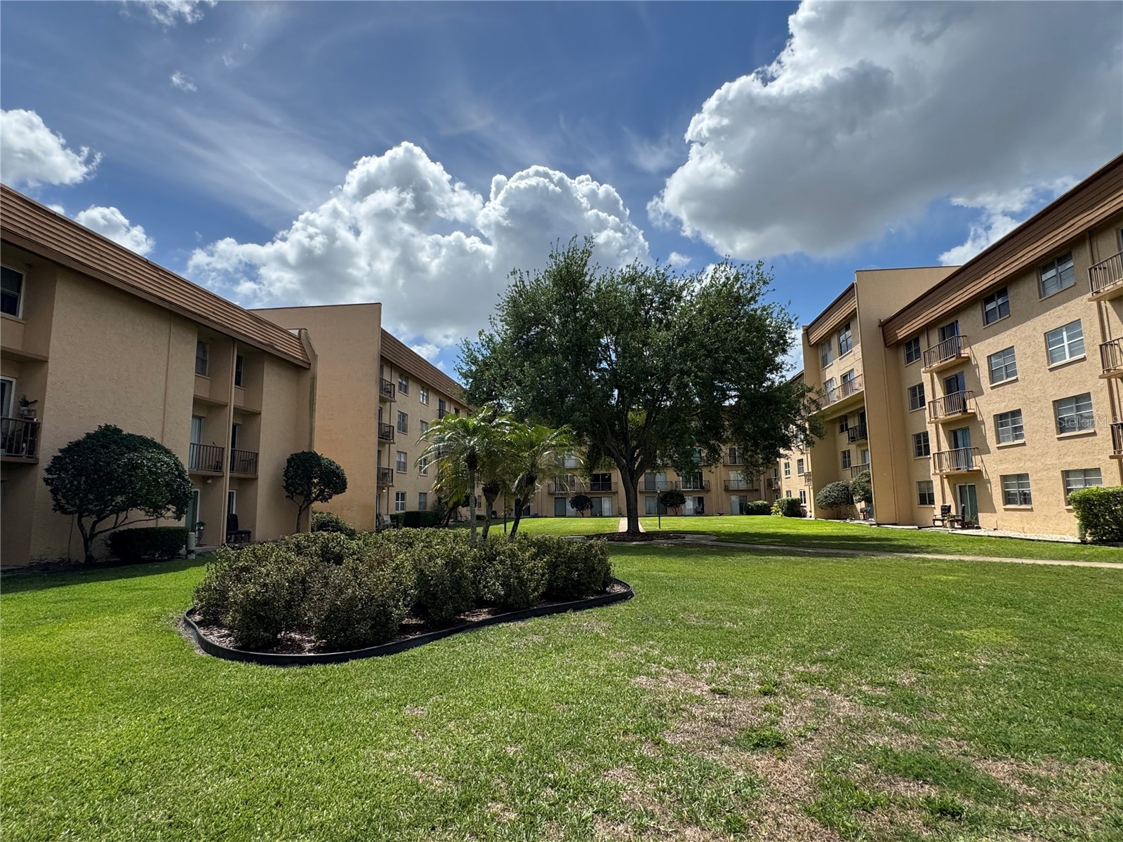 5820 N Church Avenue #239 Tampa FL 33614 TB8492851 image62