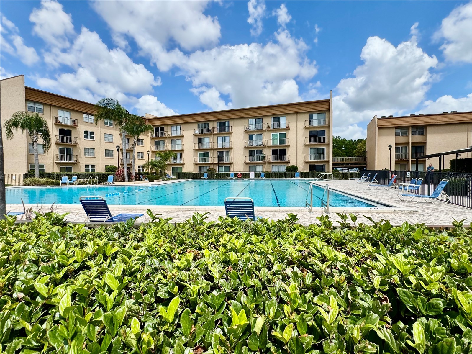 5820 N Church Avenue #239 Tampa FL 33614 TB8492851 image63