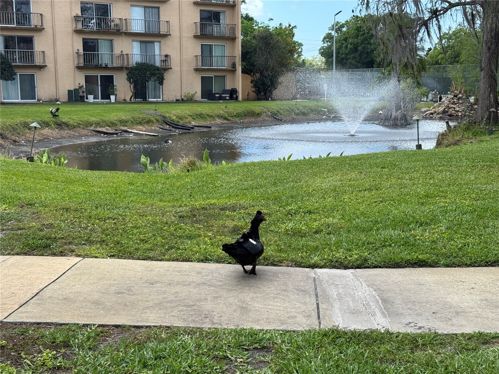 5820 N Church Avenue #239 Tampa FL 33614 TB8492851 image65