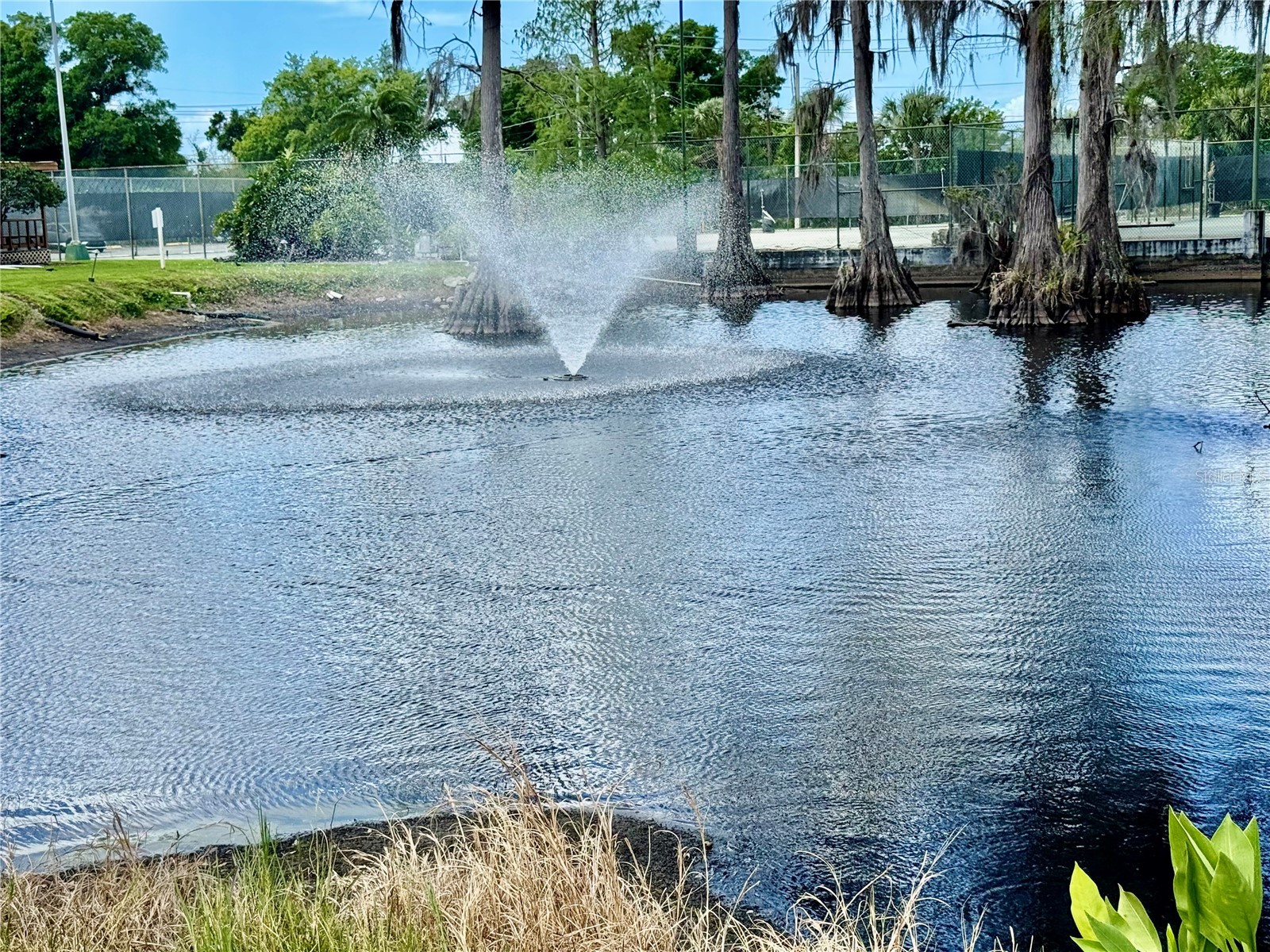 5820 N Church Avenue #239 Tampa FL 33614 TB8492851 image66