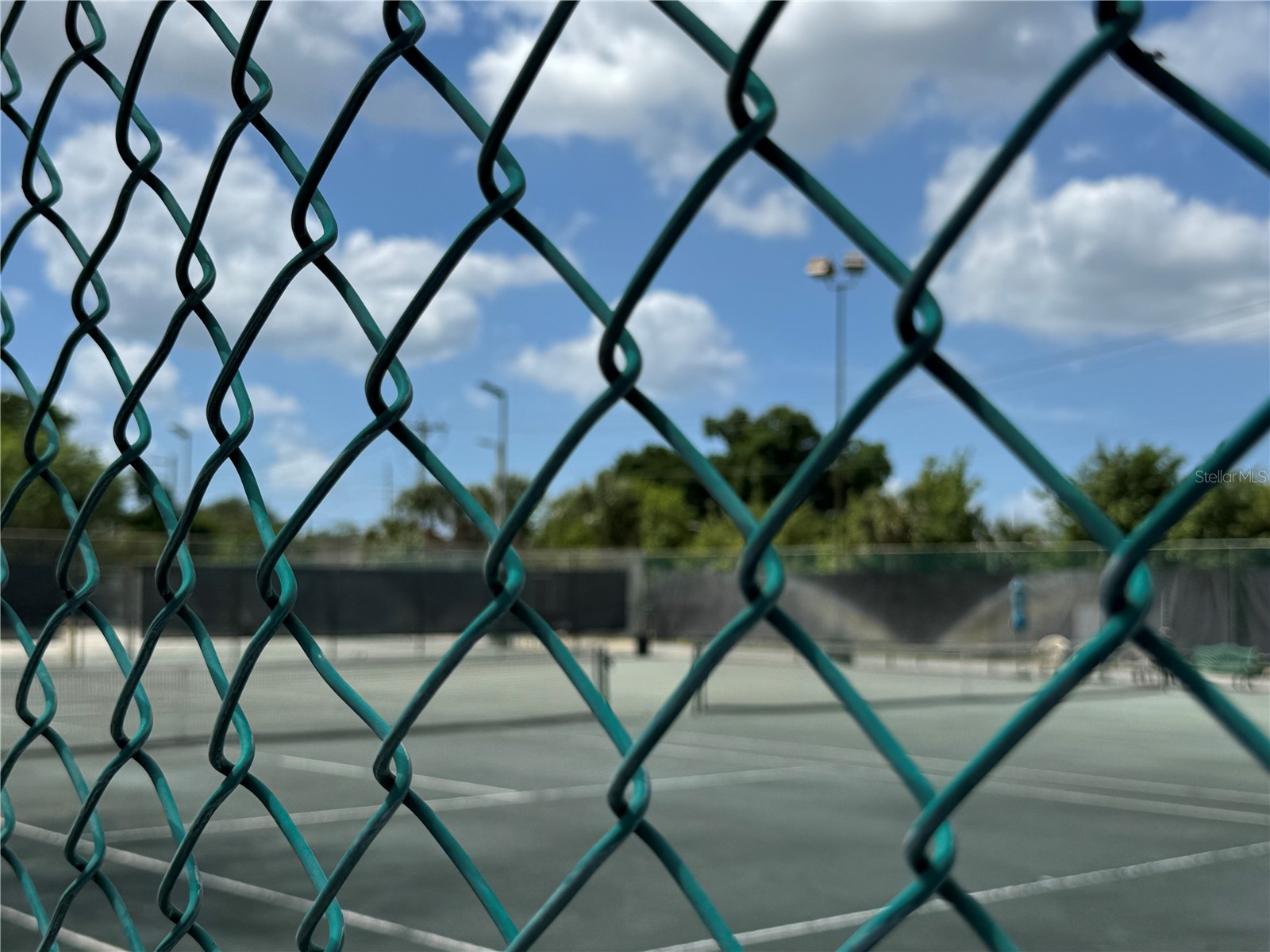 5820 N Church Avenue #239 Tampa FL 33614 TB8492851 image69
