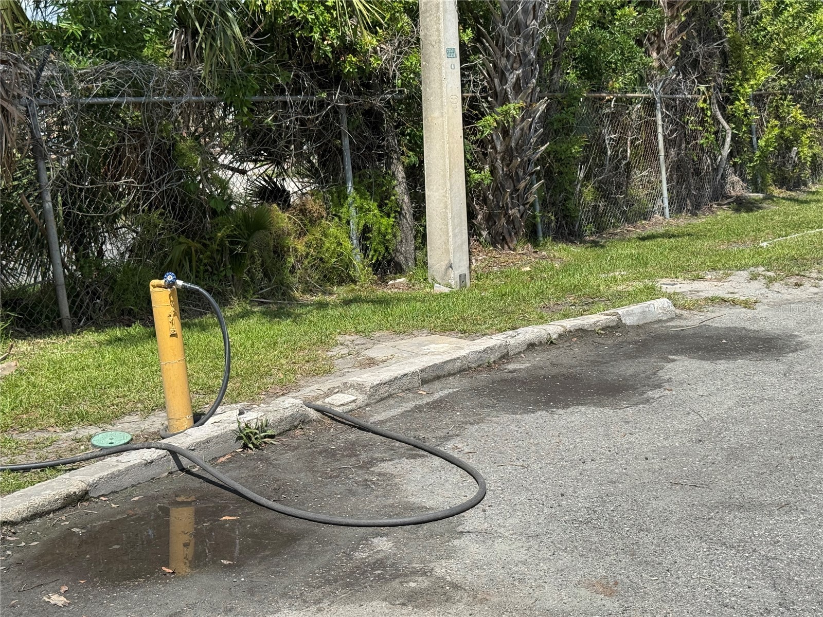 5820 N Church Avenue #239 Tampa FL 33614 TB8492851 image72