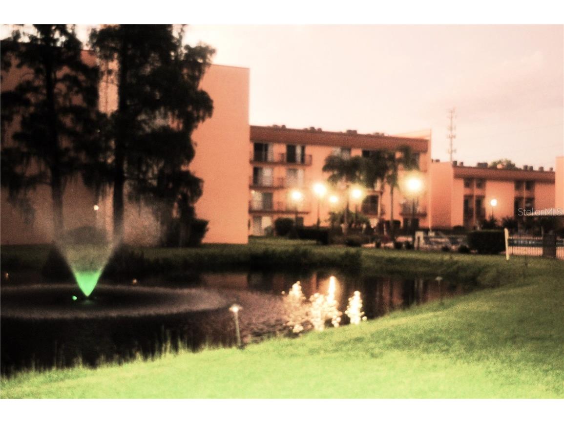 5820 N Church Avenue #247 Tampa FL 33614 T3520162 image1