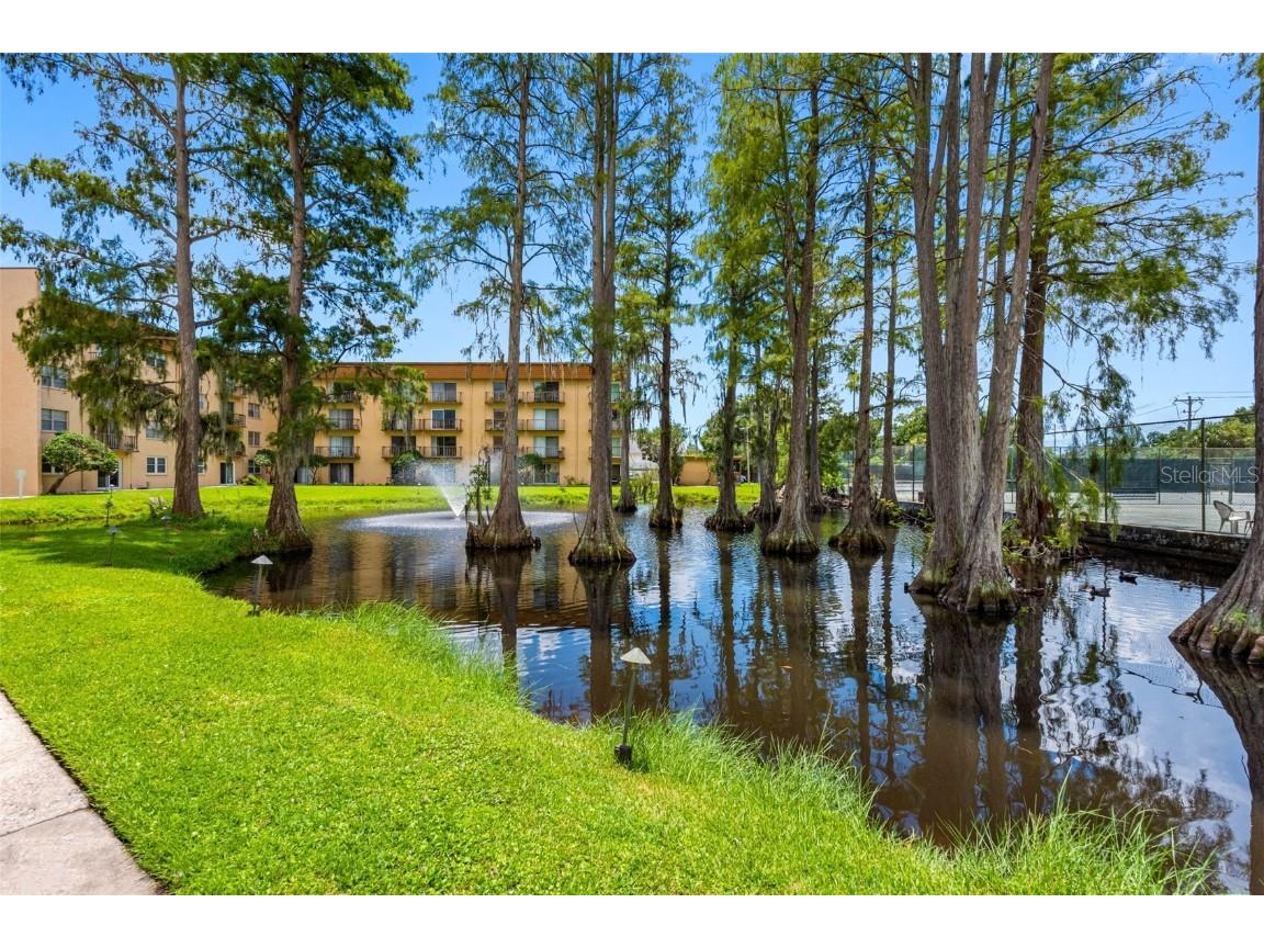 5820 N Church Avenue #346 Tampa FL 33614 TB8419765 image22