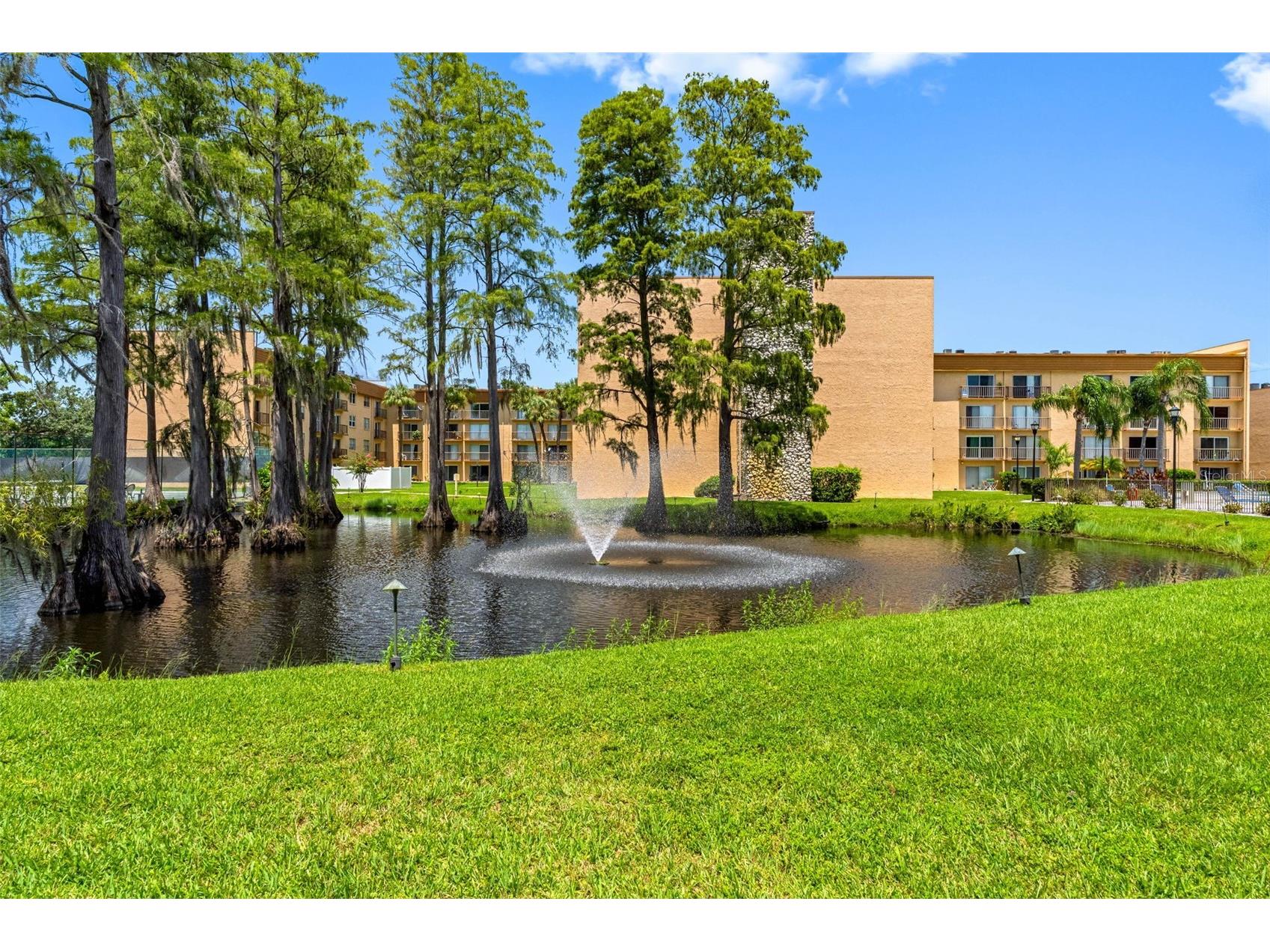 5820 N Church Avenue #346 Tampa FL 33614 TB8480932 image30