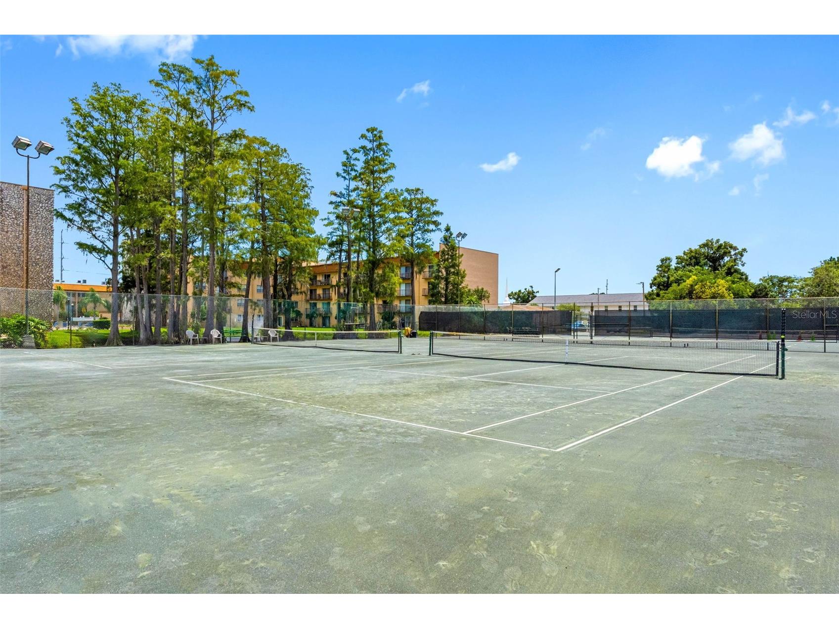 5820 N Church Avenue #346 Tampa FL 33614 TB8480932 image31